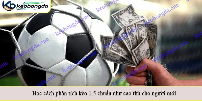 Học cách phân tích kèo 1.5 chuẩn như cao thủ cho người mới
