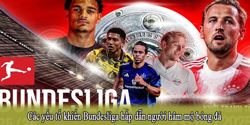 Các yếu tố khiến Bundesliga hấp dẫn người hâm mộ bóng đá