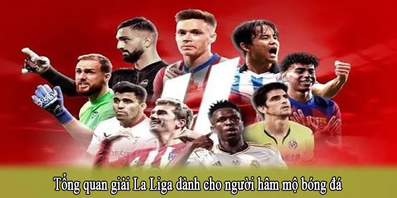 Tổng quan giải La Liga dành cho người hâm mộ bóng đá