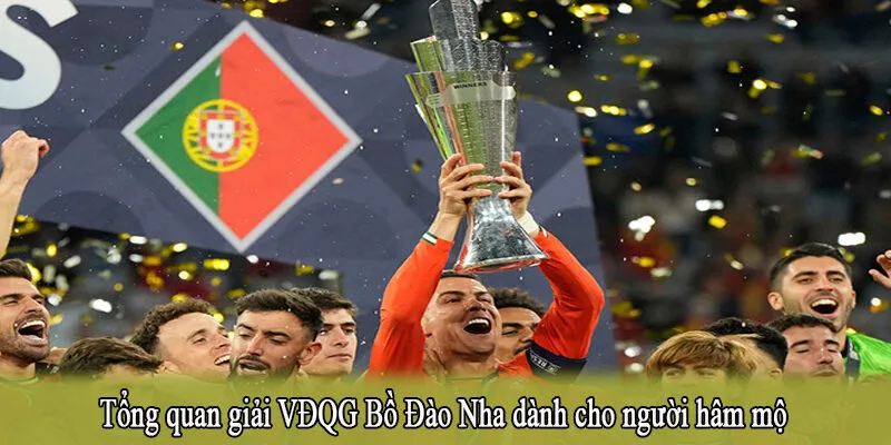 Tổng quan giải VĐQG Bồ Đào Nha dành cho người hâm mộ