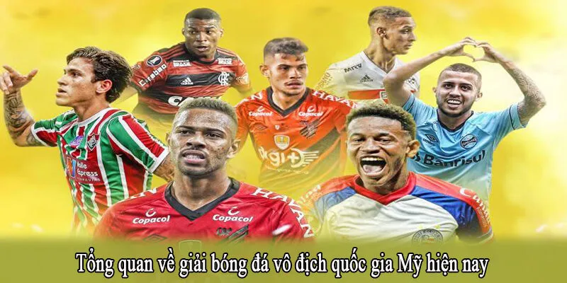 Tổng quan về giải bóng đá vô địch quốc gia Mỹ hiện nay