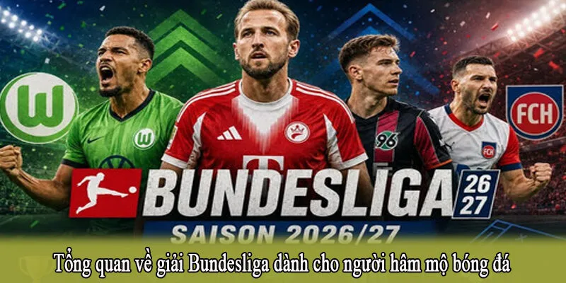 Tổng quan về giải Bundesliga dành cho người hâm mộ bóng đá